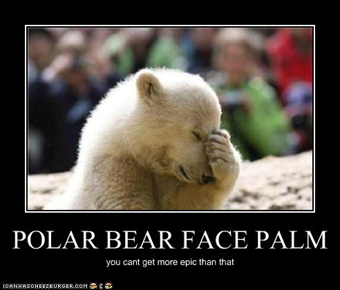 polar-bear-facepalm.jpg