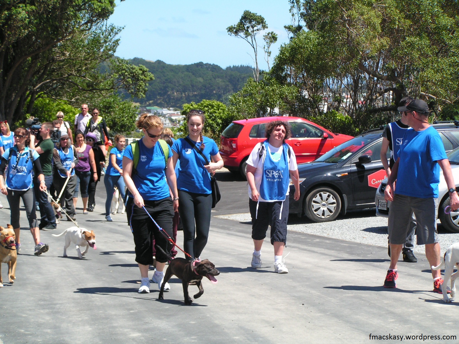 SPCA - puppy march - Wellington - 22 December 2013