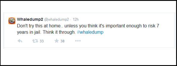 rawshark - whaledump - tweet - twitter - 4